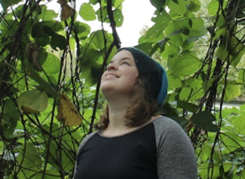 Brittany framed by leaves, looking upward.